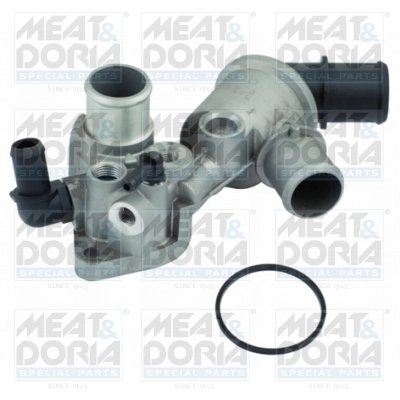 Thermostat, coolant